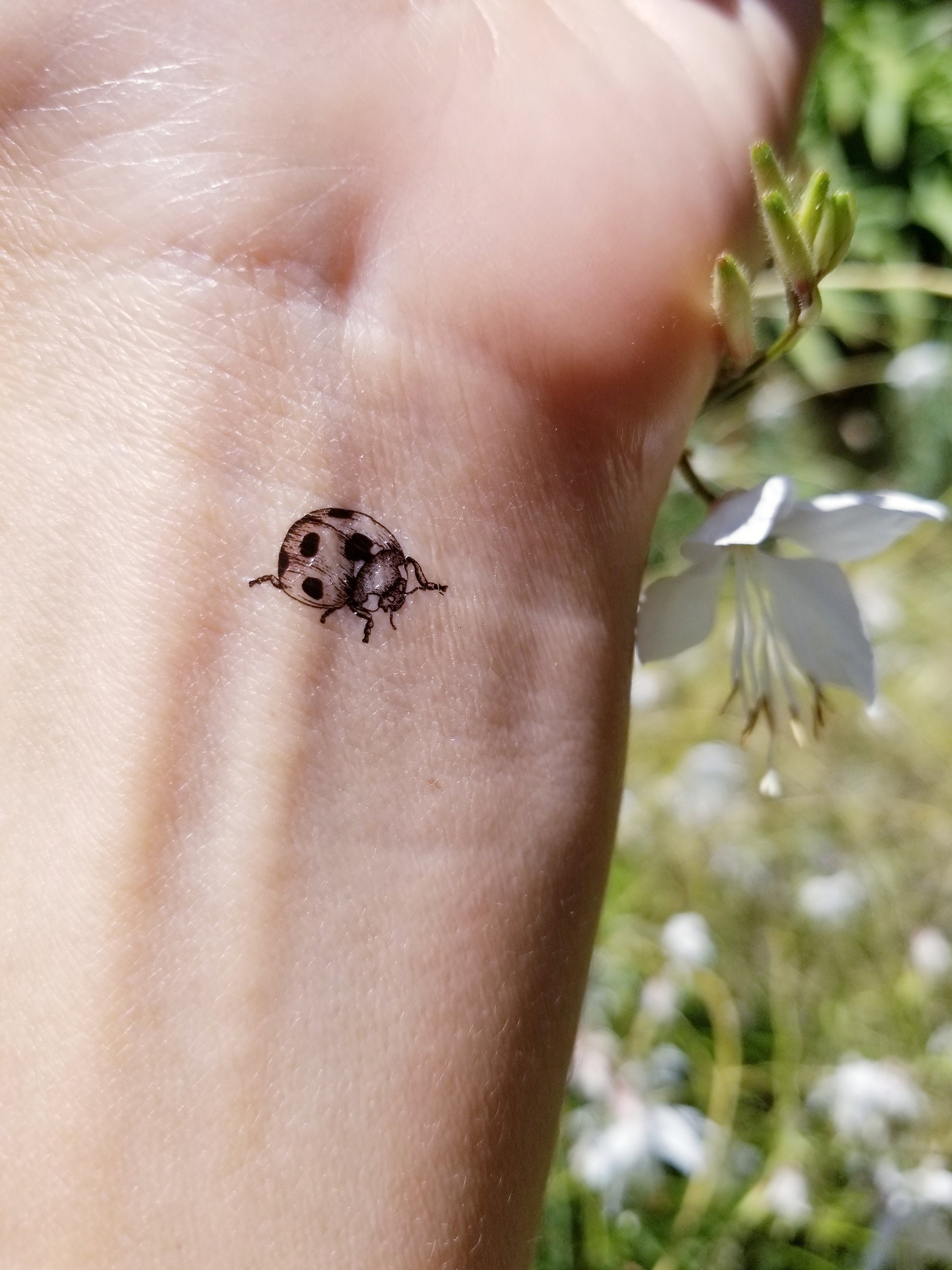 Tattoo uploaded by Steja  I couldnt be happier with this one Ive got a  chance from a wonderful client who trusts me to do this super minimalistic  ladybug  It is