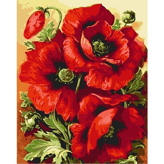 Red Poppy Flower DIY Paint by Number Kit Framed/ Unframed Etsy