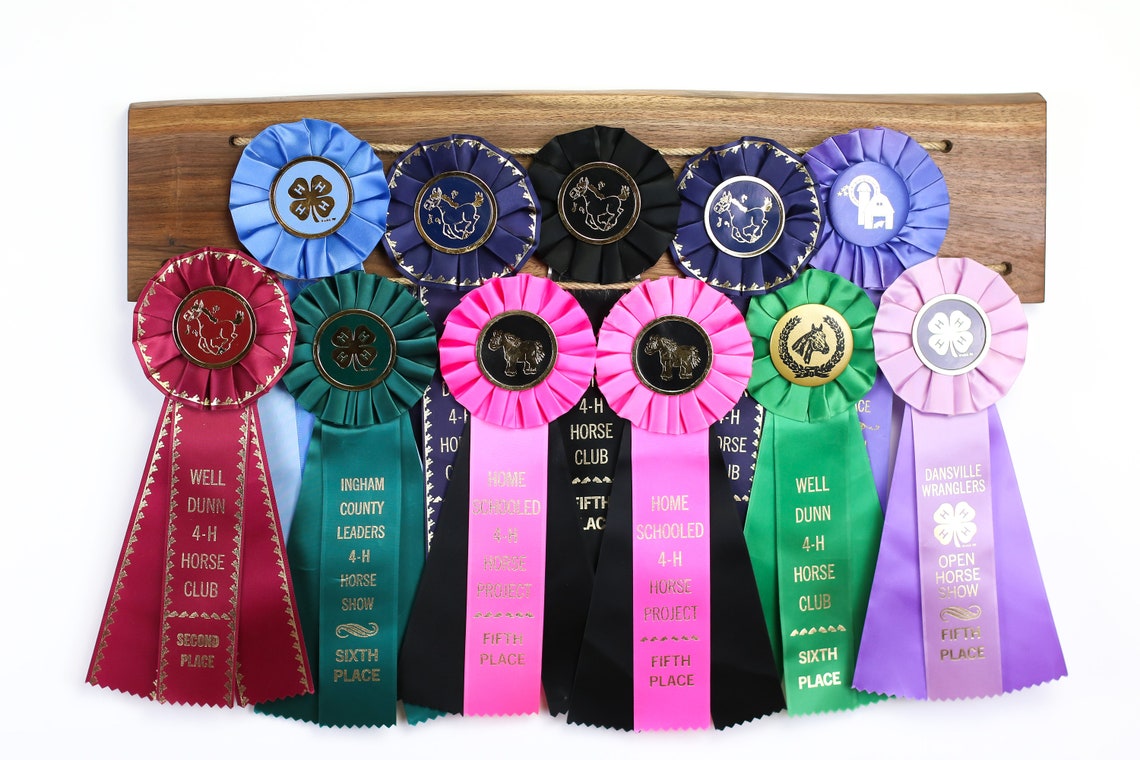 Natural Wood Horse Show Ribbon Display/ Horse Award Display/ - Etsy