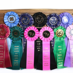 Handmade Walnut Horse Show Ribbon Display - Award Holder