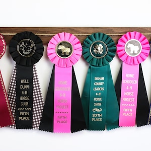 Handmade Walnut Horse Ribbon Display: Award Holder
