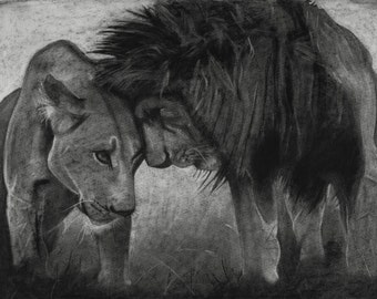 Lion Love Fine Art Print of Original Charcoal Drawing