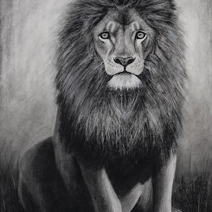 Lion King Fine Art Print of Original Charcoal Drawing