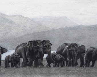 Parade of Elephants Fine Art Print of Original Charcoal Drawing