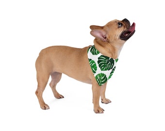 Pet Bandana - Monstera Leaf