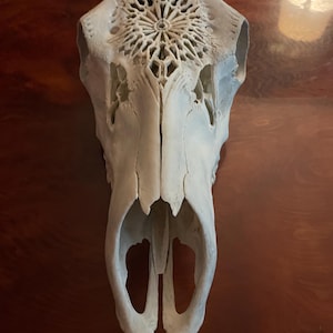 Carved Elk Skull