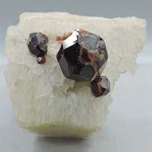 May include: A cluster of dark red-brown garnet crystals on a light-colored, textured mineral base. The garnets have a faceted, geometric shape, with a prominent, large crystal at the center and smaller ones around it. The base has a rough, crystalline appearance.