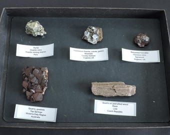Caja de colección de minerales de todo el mundo - 5 piezas