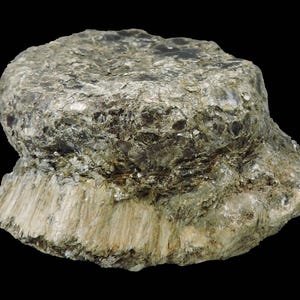 May include: A layered, natural mineral specimen with a rough, textured surface. The rock features a mix of gray, green, and brown hues, with a fibrous, light-colored base. The overall shape is rounded and irregular, set against a black background.