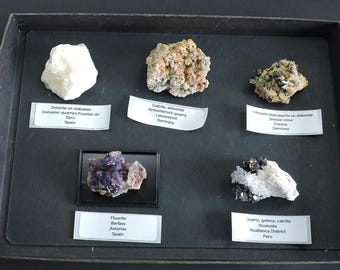 Caja de colección de minerales de todo el mundo - 5 piezas