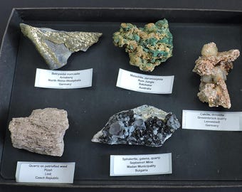 Caja de colección de minerales de todo el mundo - 5 piezas