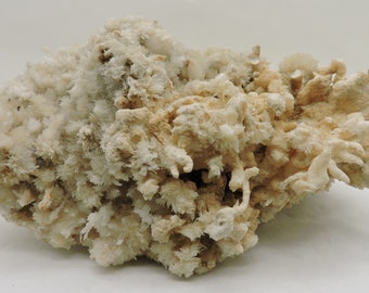 Complesso di cristalli di aragonite dalla Spagna - grande formato da vetrina