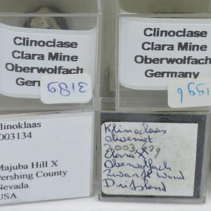 Puede incluir: Cuatro pequeños recipientes de plástico transparente con muestras de minerales. Cada recipiente tiene una etiqueta blanca con texto. Las etiquetas dicen "Clinoclase Clara Mine Oberwolfach Gen" y "Clinoclase Clara Mine Oberwolfach Germany". Las etiquetas adicionales incluyen "Clinoklaas Majuba Hill X Pershing County Nevada USA".