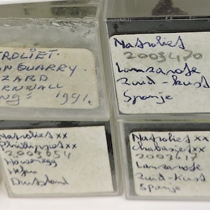 Natrolite micromounts from France, Germany, Spain, UK