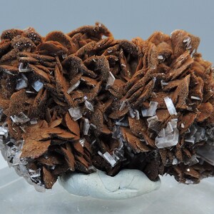 May include: A cluster of brown, petal-like mineral formations with crystalline structures. The mineral has a layered appearance, with white, rectangular crystals interspersed throughout. The specimen is displayed on a clear, angled surface.