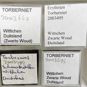 May include: Four small, clear plastic containers with white labels. Each label has black text, including the word "TORBERNIET" and a unique number. The labels also include the location "Wittichen, Zwarte Woud, Duitsland."