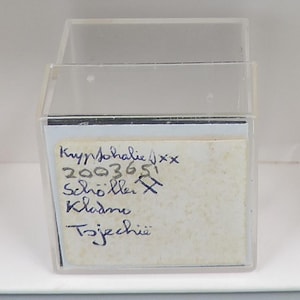 Kryptohalitmikromontering/miniatyrbild från Tjeckien