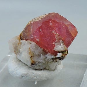 May include: A striking red-pink crystal, with a faceted surface, sits on a white and beige mineral base. The crystal's structure is clearly visible. The mineral base provides a contrasting backdrop, highlighting the crystal's colour and form. A unique geological specimen.