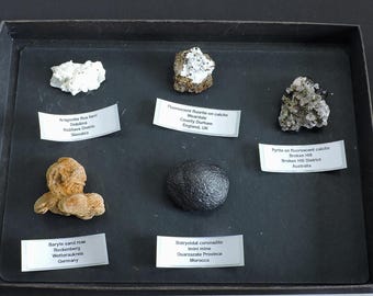 Caja de colección de minerales de todo el mundo - 5 piezas