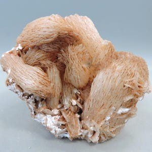 May include: A raw mineral specimen featuring clusters of peach-colored, bladed crystals arranged in a fan-like formation. The structure displays a fibrous texture with varying shades of light orange and tan, set against a white base matrix.