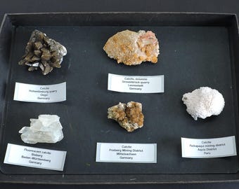 Caja de colección de minerales de todo el mundo - 5 piezas