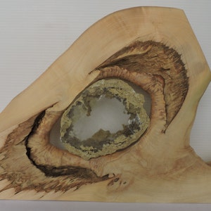 Natural rare handmade Wood art with rare selenite mineral