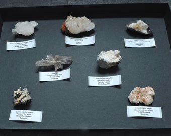 Mineral collection box from all over the world - 7 pieces