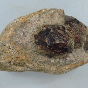 May include: A rough, tan-coloured rock with a dark red, crystalline mineral formation embedded within. The mineral has a faceted appearance, with sharp edges and a glossy surface. The rock's texture is coarse and uneven.
