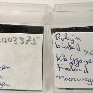 Op de afbeelding: Twee doorzichtige plastic bakjes met handgeschreven labels. De labels bevatten tekst in blauwe inkt, waaronder namen, nummers en plaatsnamen. De bakjes staan naast elkaar, met de labels naar voren gericht.