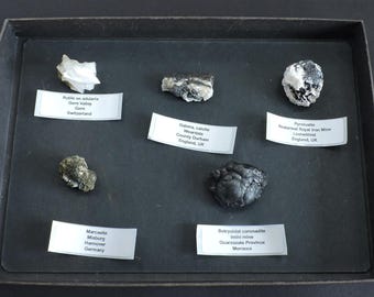Caja de colección de minerales de todo el mundo - 5 piezas