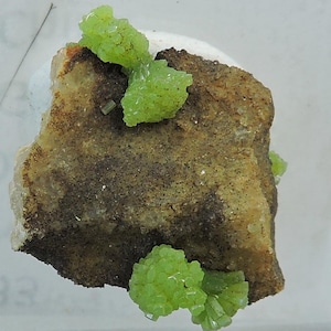 Puede incluir: Primer plano de un espécimen mineral con formaciones cristalinas de color verde lima vibrante agrupadas sobre una matriz rugosa, marrón y beige. Los cristales minerales tienen una apariencia brillante y texturizada, contrastando con el fondo terroso.