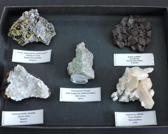 Caja de colección de minerales de todo el mundo - 5 piezas
