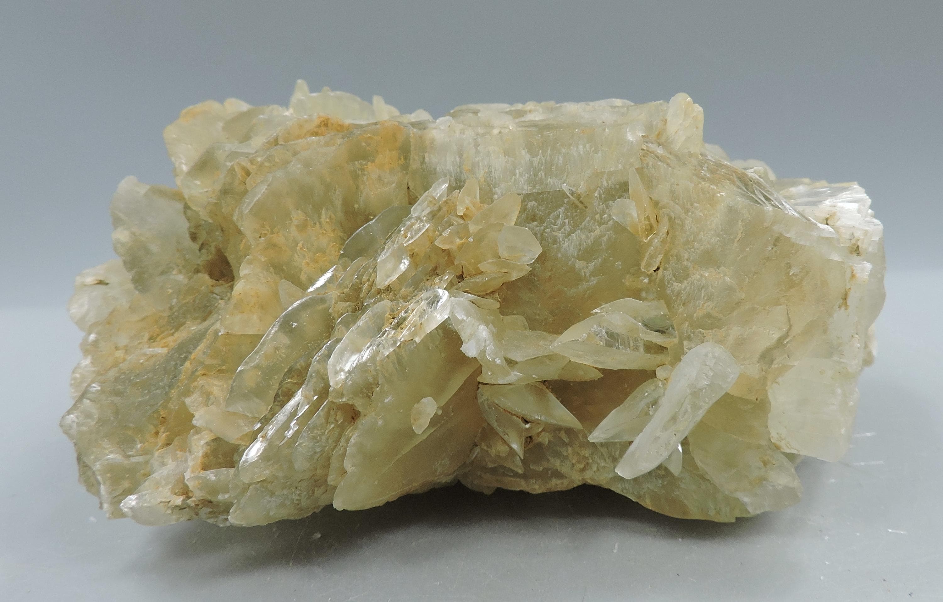 Gypsum From France – Cabinet Size - Etsy