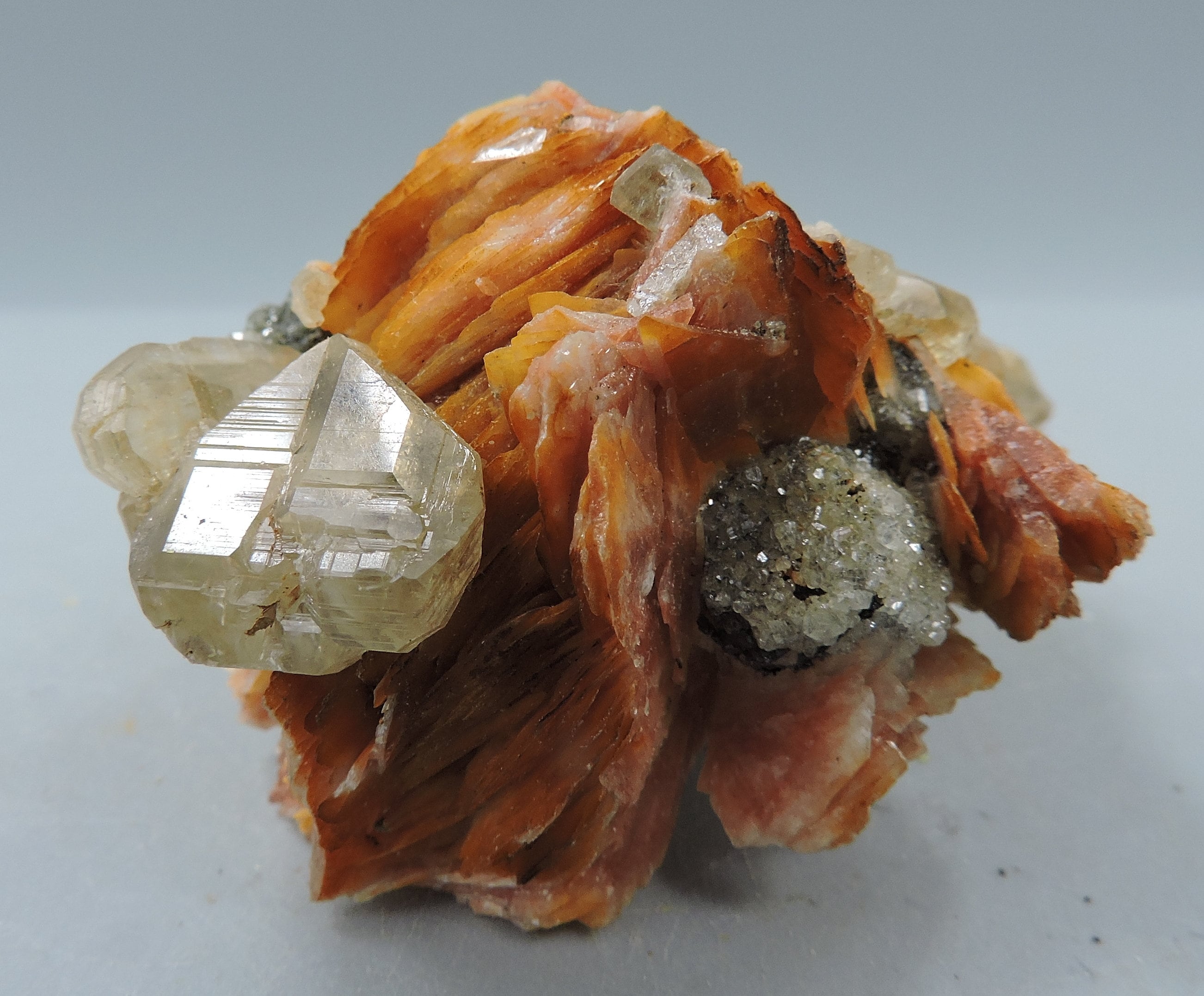 ミネラルコレクション Mineral Collection Box From All Over the World - 7 Pieces - Etsy
