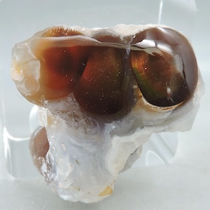 May include: A polished fire agate specimen featuring three prominent, rounded, dark reddish-brown botryoidal formations with iridescent flashes of green and gold, set against a translucent, milky white chalcedony base with a smooth, glossy texture.