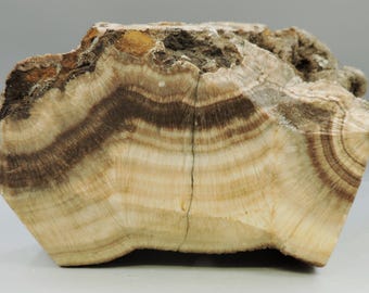 オーストラリア産の黄色いアラゴナイト gg99-a9664_01.jpg