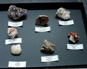 Caja de colección de minerales de todo el mundo - 7 piezas
