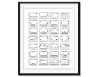 NASCAR Cup Series Race Track Circuit 2026 Car Poster Print Wall Art BX3 (Unframed)