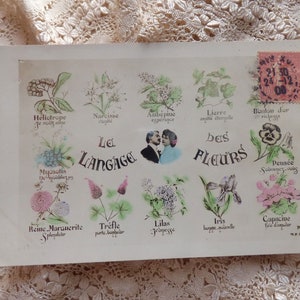 Carte ancienne 1900 Langage des Fleurs oranotypie - scrapbooking - éphémère - carte postale ancienne - carte postale vintage - langage des fleurs
