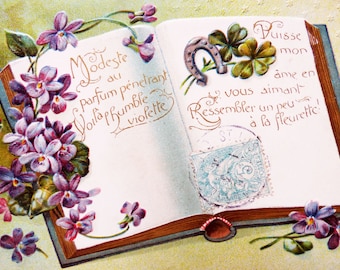 2 Cartes Postales Anciennes en Relief, France, Chromolithographie florale, 1900s