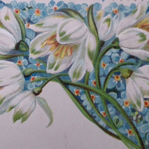 1 ancienne voiture postale française des années 1900, éphémères Art nouveau des années 1900 - carte postale ancienne - langage des fleurs - en relief - myosotis et fleurs de perce-neige