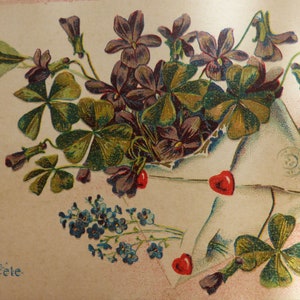 2 postales victorianas en lenguaje de flores, década de 1900, mensaje de amor, tarjeta francesa antigua, en relieve, álbum de recortes, efímera, colección de tarjetas
