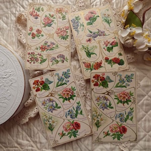 4 carte francesi antiche Langage des Fleurs degli anni '10 - goffrate - scrapbooking - effimeri - collezione di cartoline vintage in stile Art Nouveau