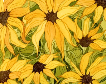 Black Eyed Susans