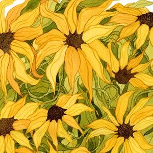 Black Eyed Susans