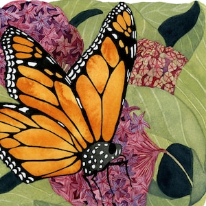 Monarch Butterfly Watercolor Painting: Milkweed Bloom Art