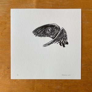 Schleiereule im Flug - original Holzstichdruck