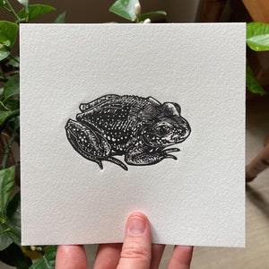 Midnight Toad - original lino cut print