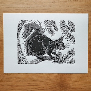 Original lino cut print- Squirrel in Pine Tree