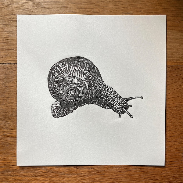 Snail - original lino cut print